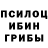 Псилоцибиновые грибы GOLDEN TEACHER Ramina Manafova