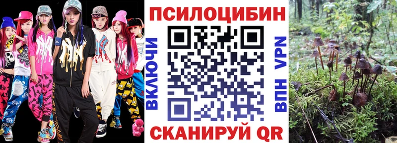 Купить закладки  Донской  Псилоцибиновые грибы GOLDEN TEACHER 